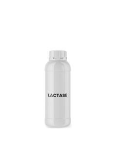 lactase_refrigerada_100ml_ingredientes_online