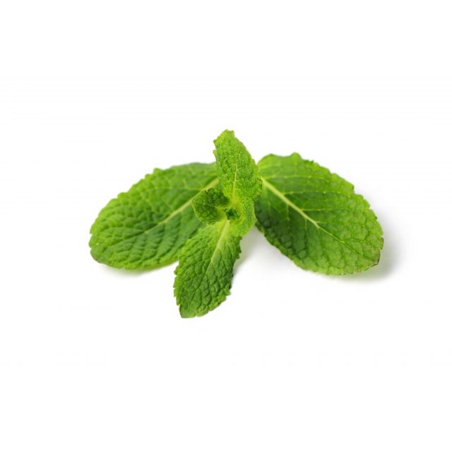 fresh_mint_leaves_isolated